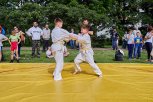 judo, sztuki walki